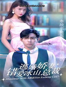 王爷的娇宠王妃