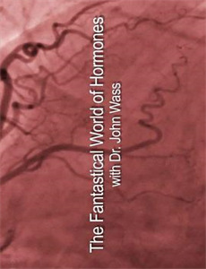 黄金神威 第一季