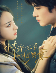 重回被杀新婚夜