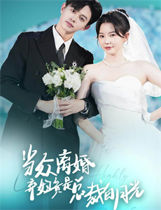 安静的美国人1958