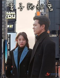 精灵宝可梦破坏之茧与蒂安希