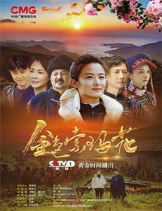 五个妹控哥哥是大佬