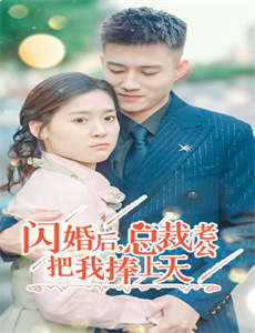 布迪克拉维茨的学徒生涯