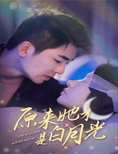 数码宝贝宇宙:应用怪兽